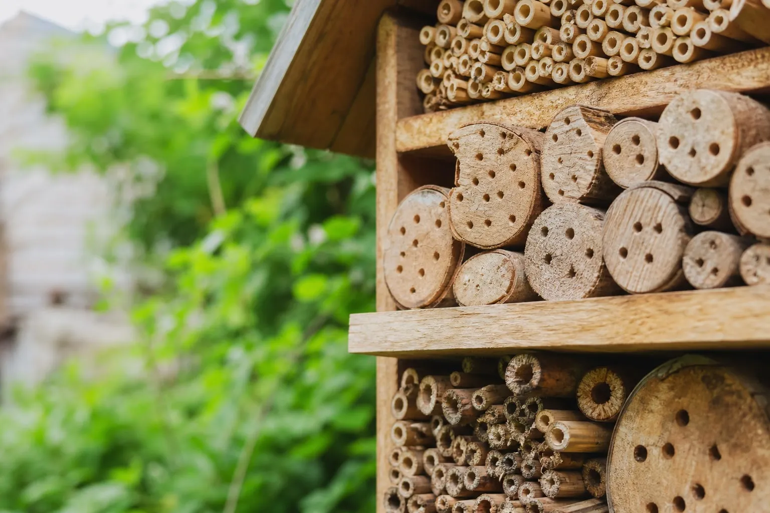 Gros plan sur un hôtel à insectes en bois rempli de tiges creuses et de bûches percées, installé dans un jardin.