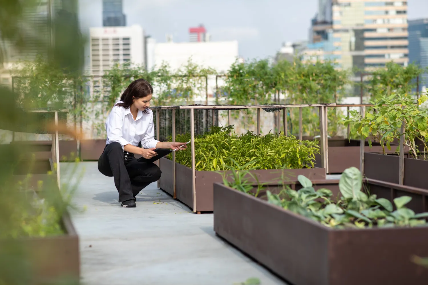 Jardinières profondes et plantations verticales organisées sur un petit balcon urbain lumineux pour associer fleurs, aromatiques et légumes.