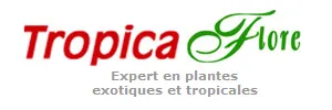 Logo TropicaFlore : choisir ses plantes exotiques en ligne